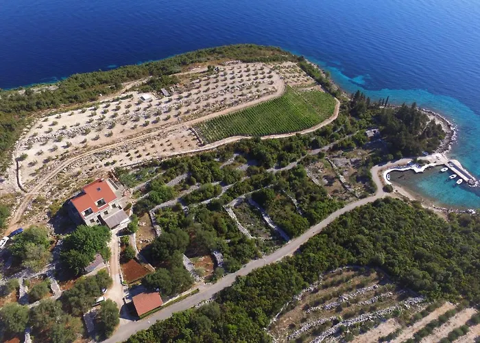 Apartman Deluxe “ Koromacna”